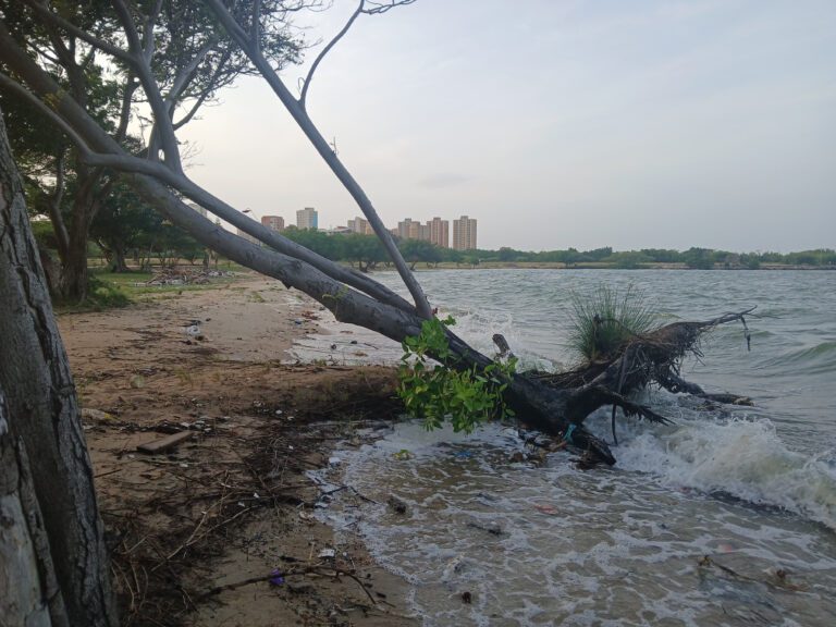 Maracaibo muestra los primeros signos de erosión costera
